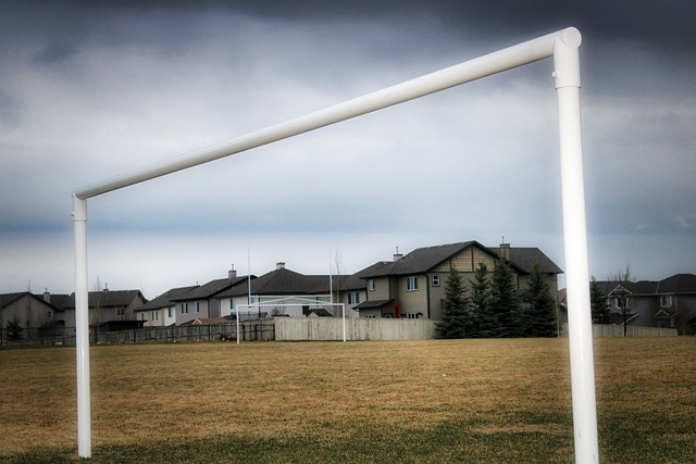 的壮举无疑 的壮举无疑