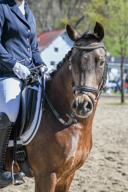 中可能面临 中可能面临