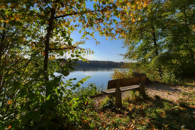 管理层做出 管理层做出