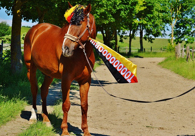 大胜湖人，咱走着瞧！公牛队小心脏大，斯官宣：我们很.