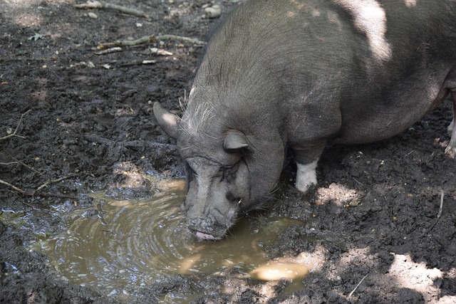 场之优势快 场之优势快