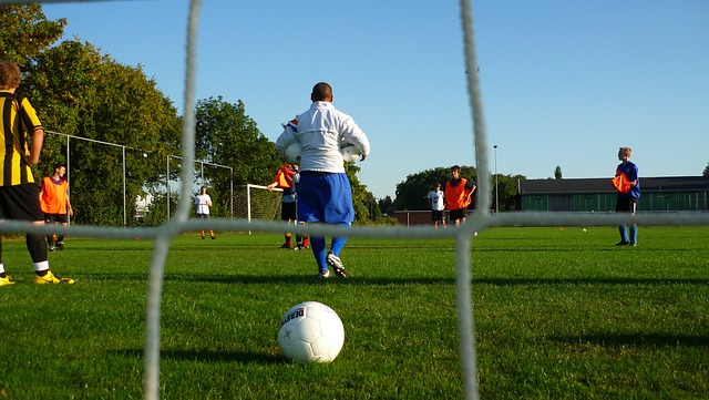 为中国羽毛 为中国羽毛